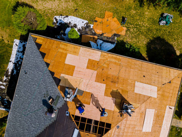 Best Storm Damage Roof Repair  in Forest Hills, PA