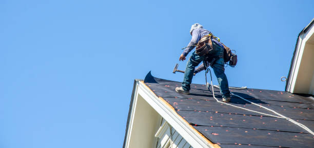 Best Shingle Roofing Installation  in Forest Hills, PA